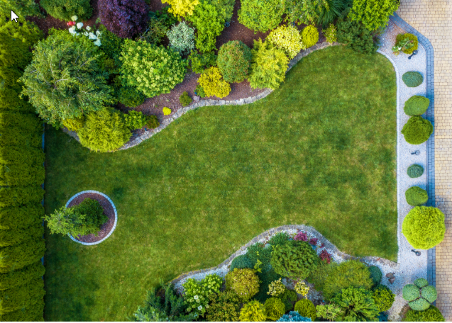 Brooklyn contractor platform comparison for homeowners and garden professionals. Brooklyn contractor platform comparison for homeowners and garden professionals.